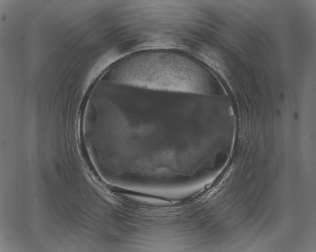 X0000067391179200603311251