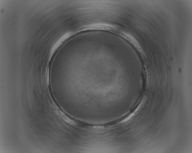 X0000067391180200603311251