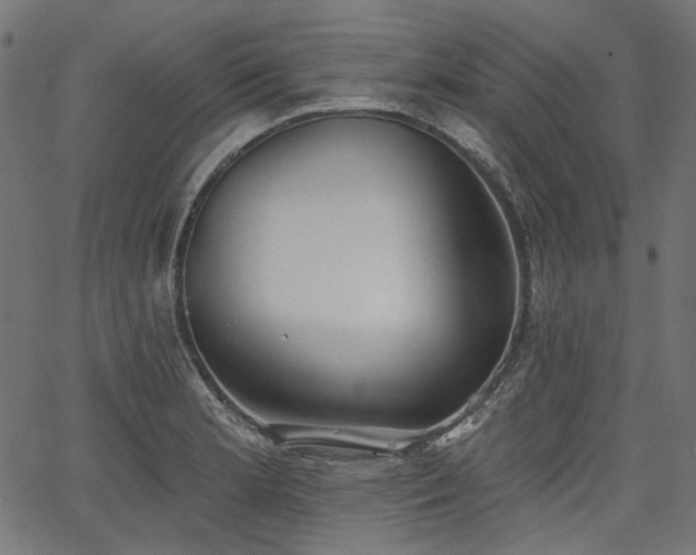 X0000067391181200603311251