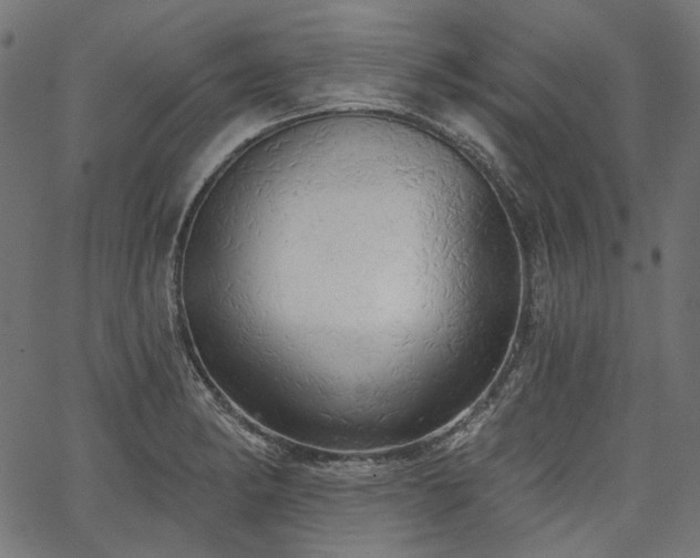 X0000067391182200603311251