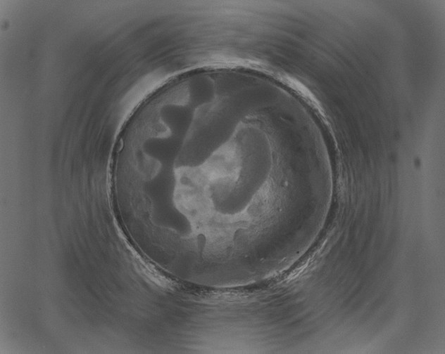 X0000067391183200603311251