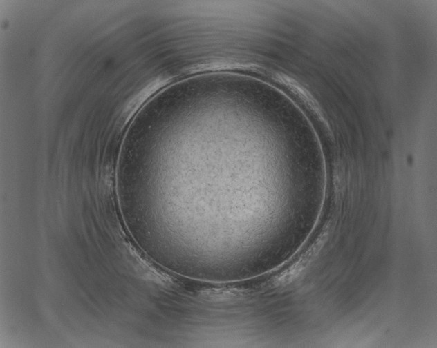 X0000067391185200603311251