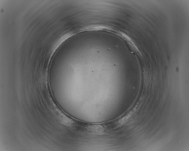 X0000067391186200603311251