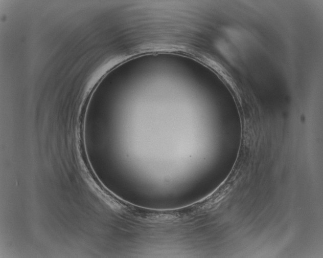 X0000067391187200603311251