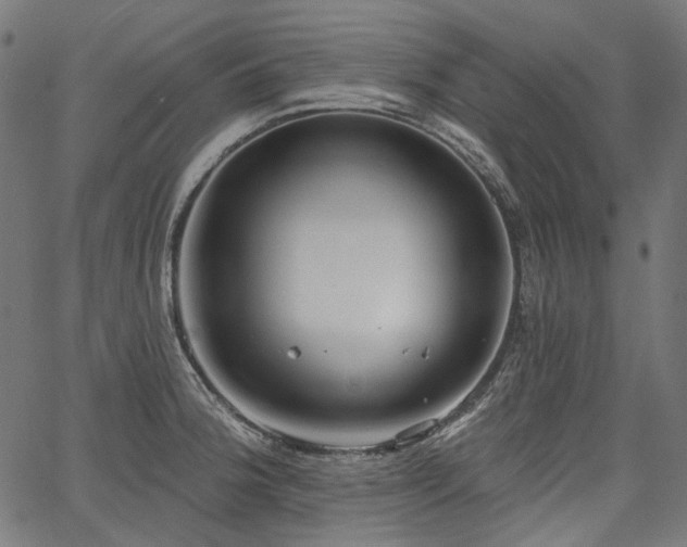 X0000067391188200603311251