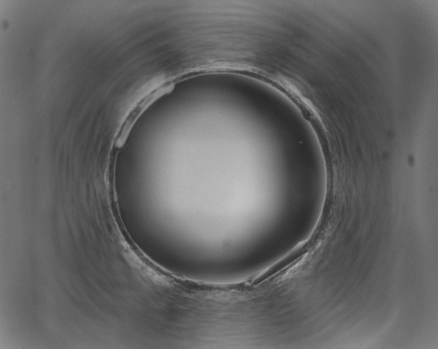 X0000067391189200603311251