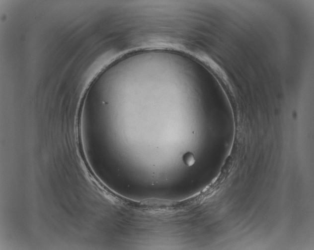 X0000067391191200603311251