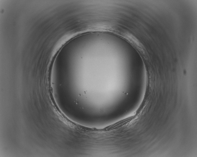 X0000067391192200603311251