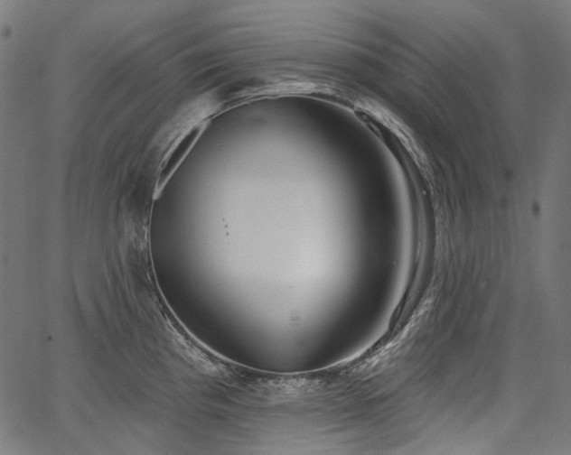 X0000067391193200603311251