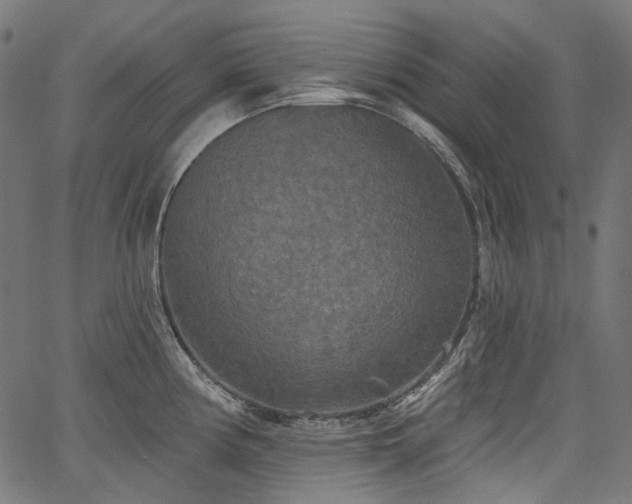 X0000067391194200603311251