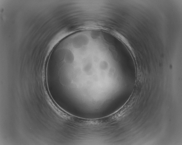 X0000067391195200603311251