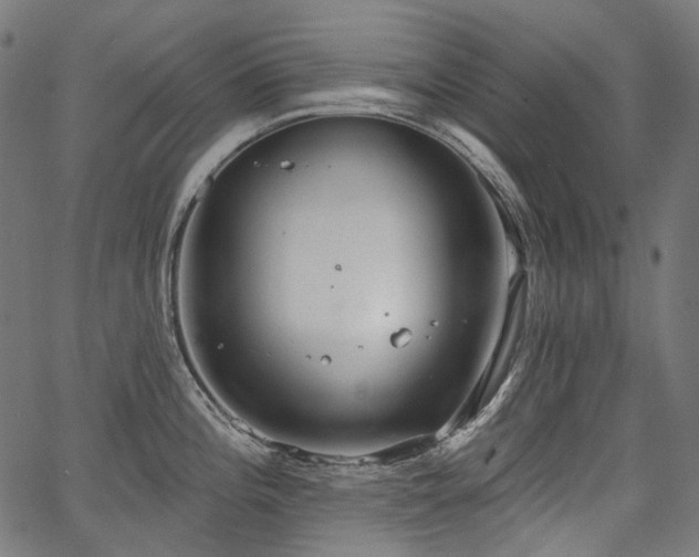 X0000067391196200603311251