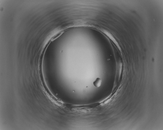 X0000067391197200603311251