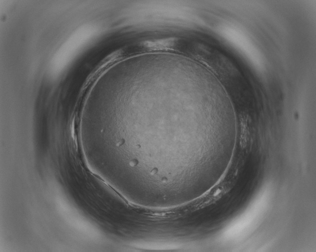 X0000067391198200603311251