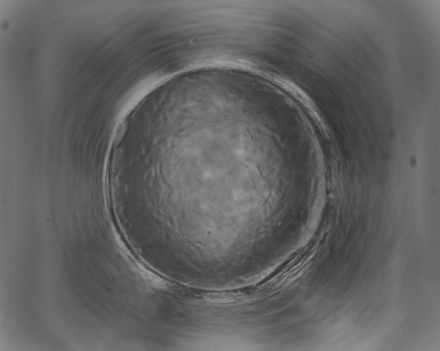 X0000067391199200603311251