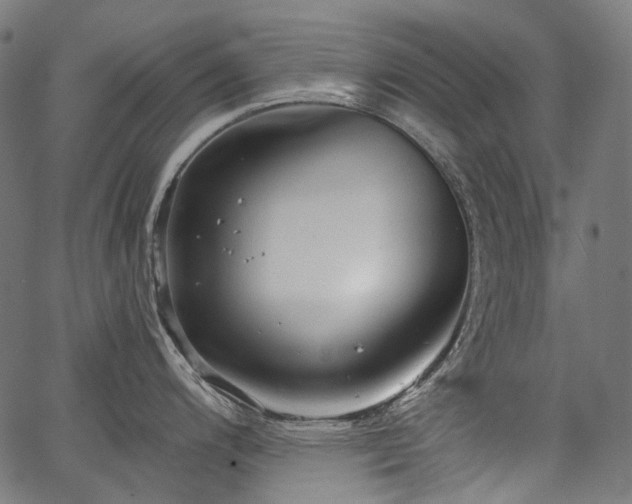 X0000067391200200603311251