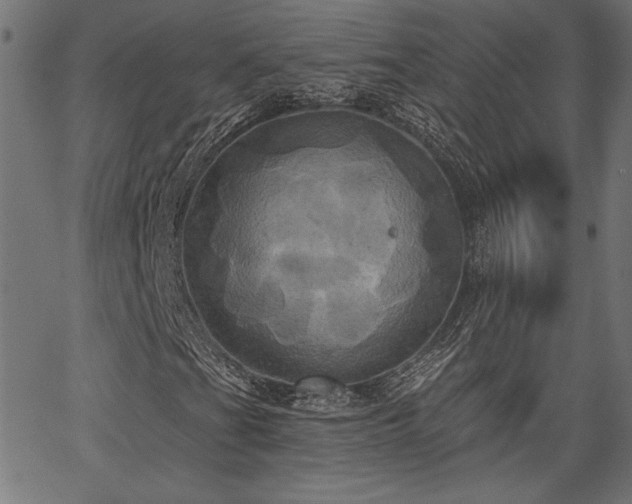 X0000067391201200603311250