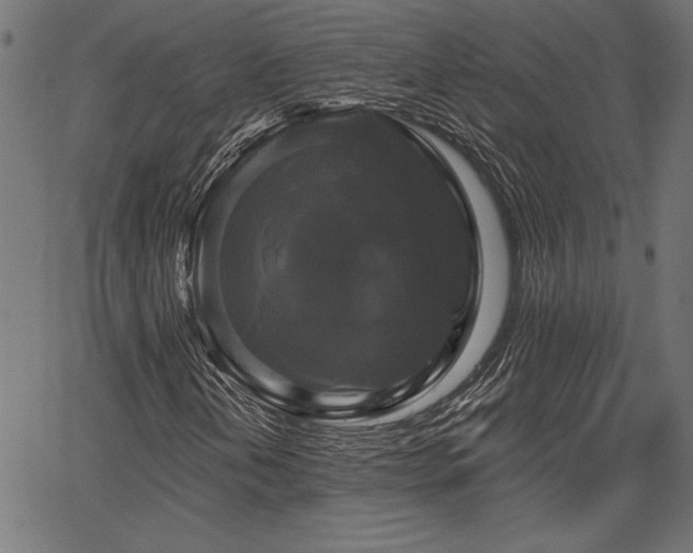 X0000067391202200603311250