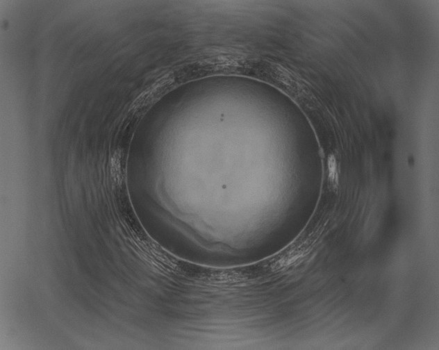 X0000067391203200603311250