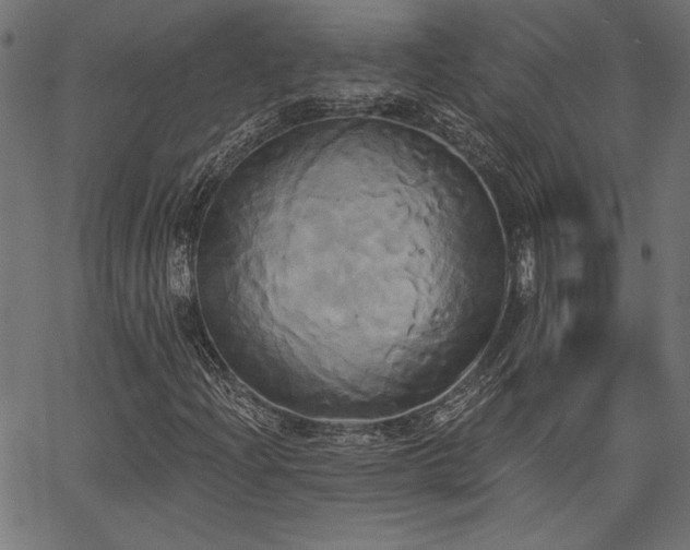 X0000067391204200603311250