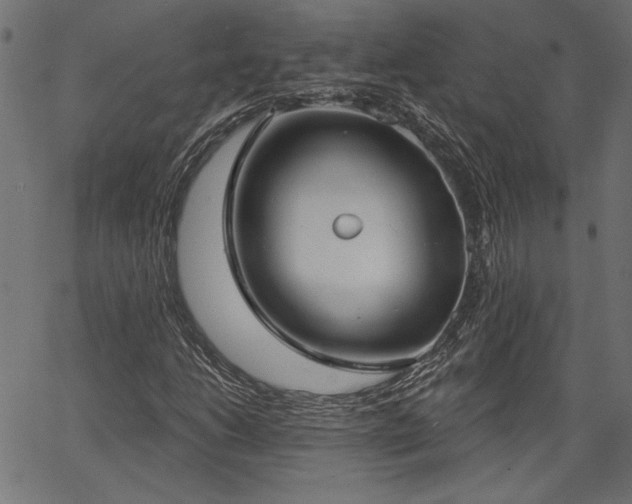 X0000067391206200603311250