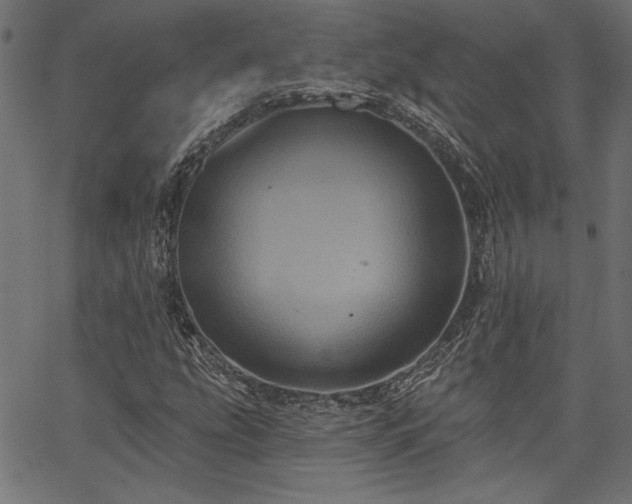 X0000067391207200603311250