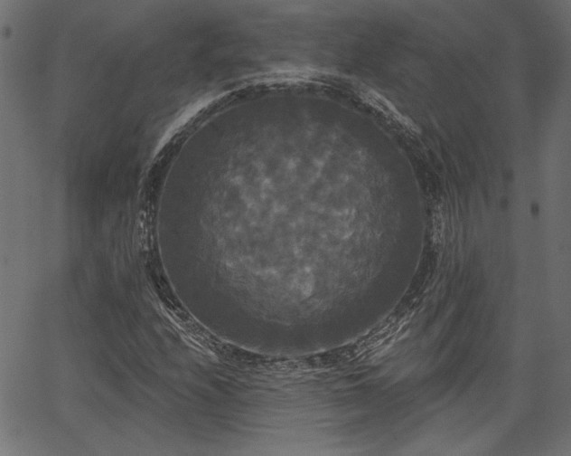 X0000067391208200603311250