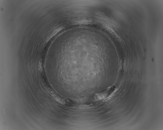 X0000067391209200603311250