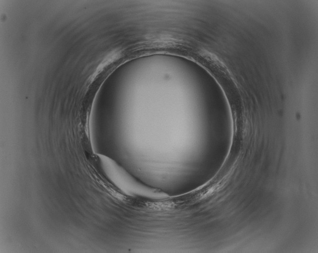 X0000067391210200603311250