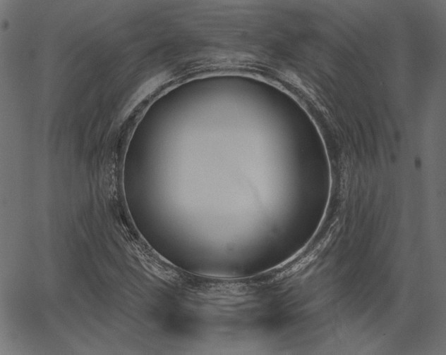 X0000067391211200603311250