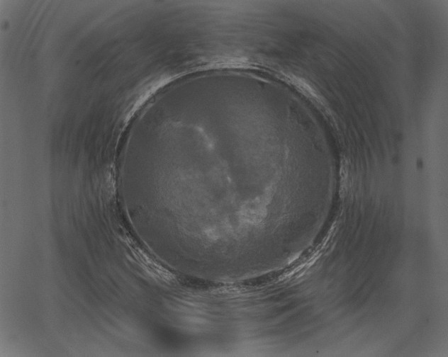 X0000067391212200603311250