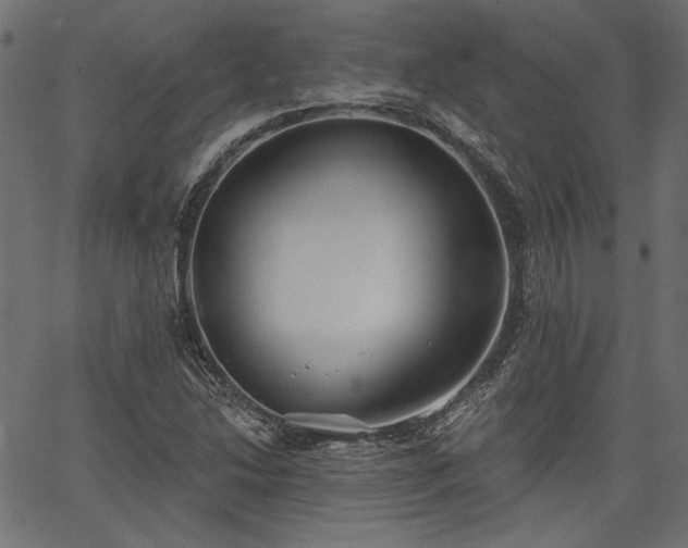 X0000067391214200603311250