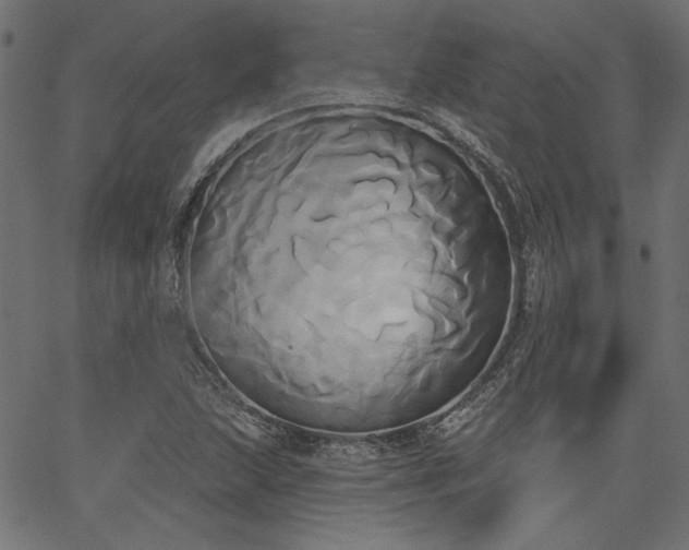 X0000067391215200603311250