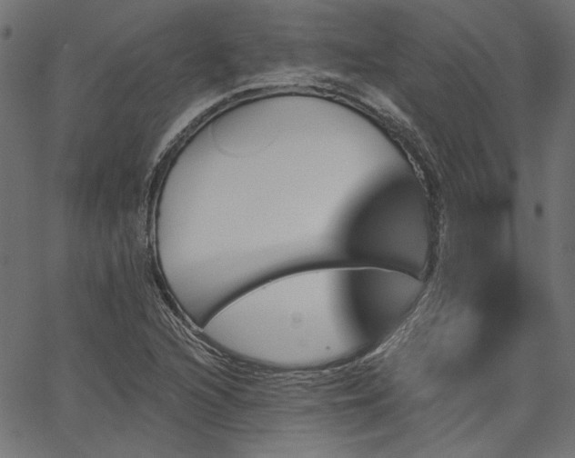 X0000067391216200603311250