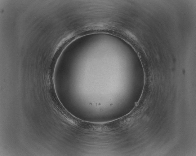 X0000067391218200603311250