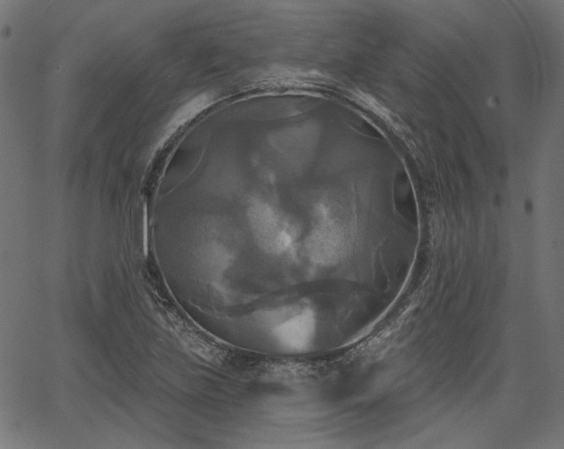 X0000067391219200603311250