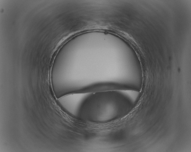 X0000067391220200603311250