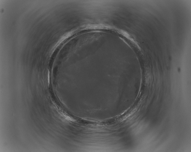 X0000067391221200603311250