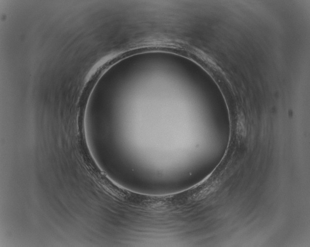 X0000067391222200603311250