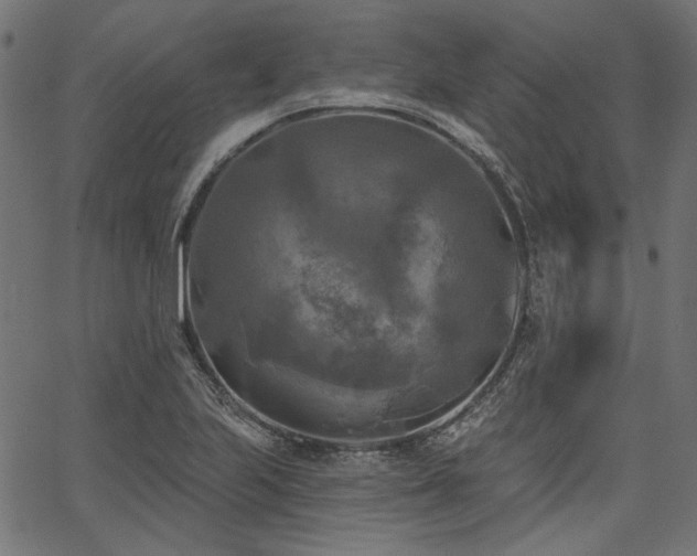 X0000067391223200603311250