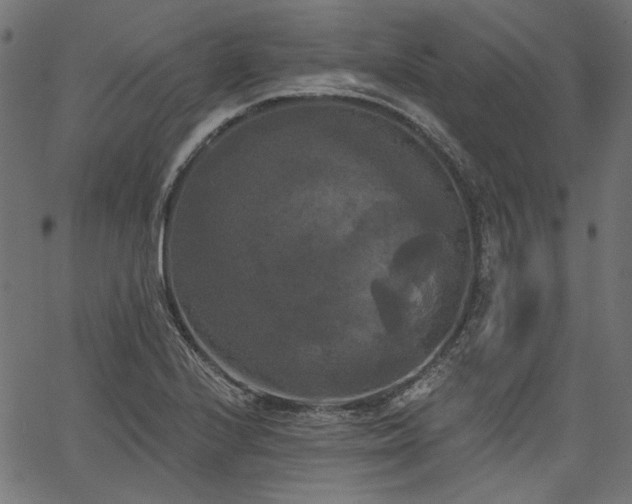 X0000067391224200603311250