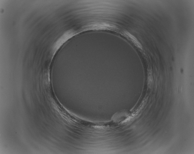 X0000067391226200603311251