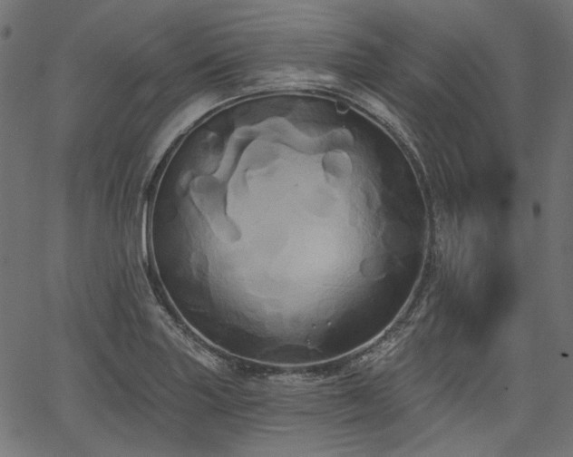 X0000067391227200603311251