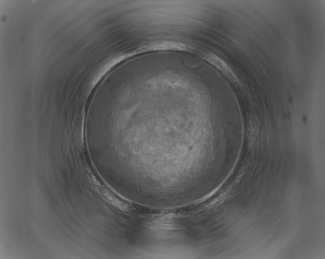 X0000067391228200603311251