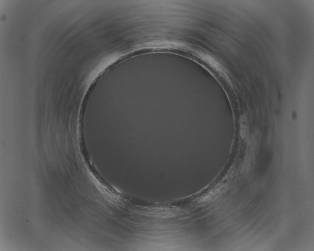 X0000067391229200603311251