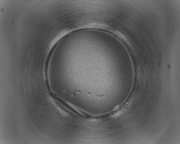 X0000067391230200603311251