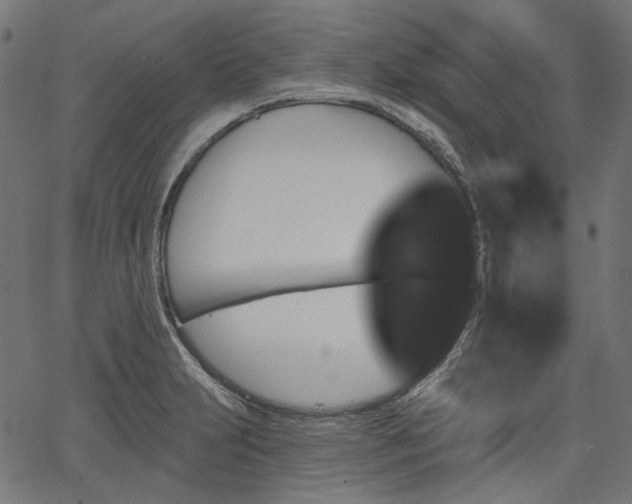 X0000067391231200603311251