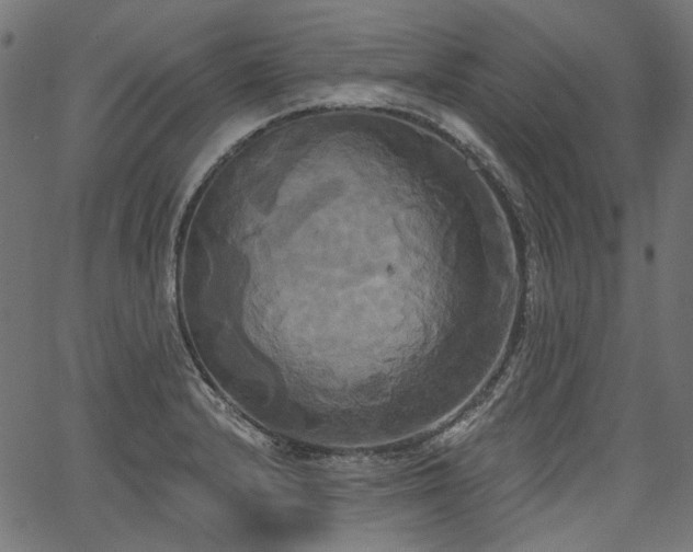 X0000067391232200603311251