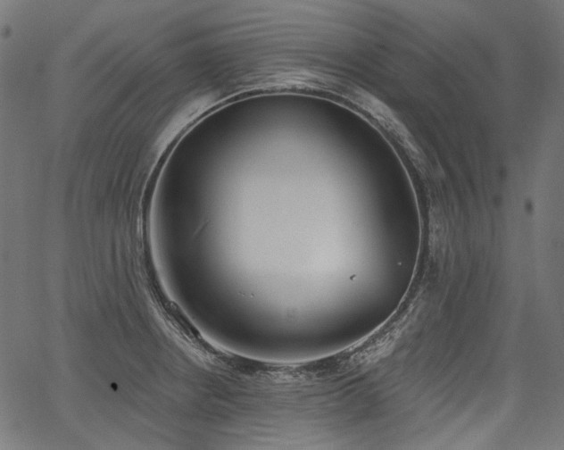 X0000067391234200603311251