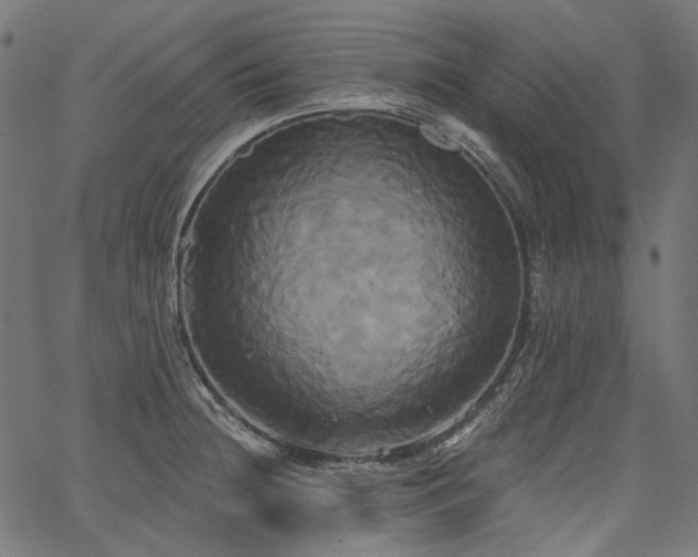 X0000067391236200603311251